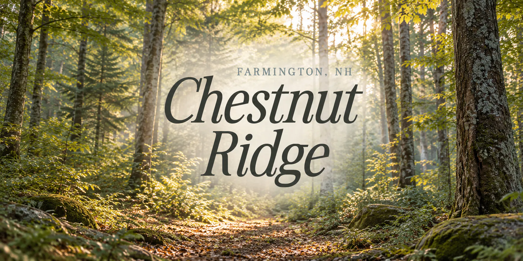 Chestnut Hero.jpg